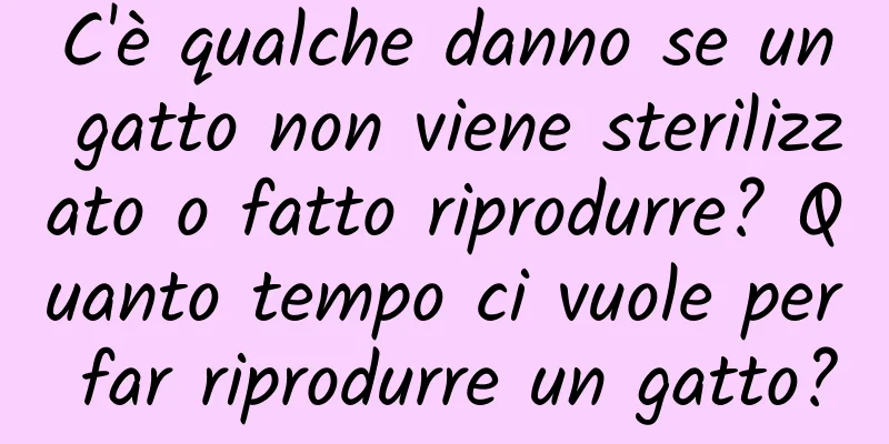 C'è qualche danno se un gatto non viene sterilizzato o fatto riprodurre? Quanto tempo ci vuole per far riprodurre un gatto?