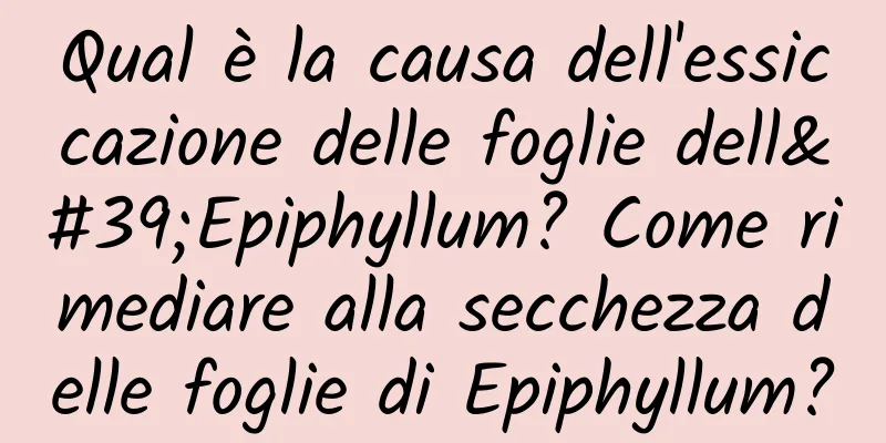Qual è la causa dell'essiccazione delle foglie dell'Epiphyllum? Come rimediare alla secchezza delle foglie di Epiphyllum?
