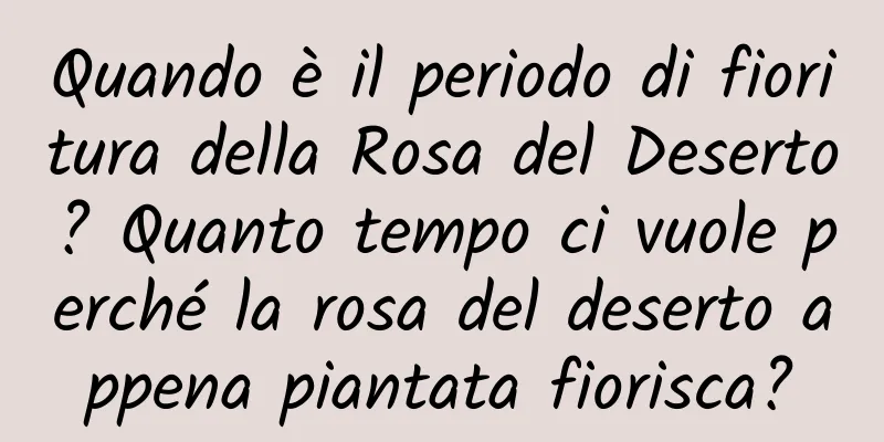 Quando è il periodo di fioritura della Rosa del Deserto? Quanto tempo ci vuole perché la rosa del deserto appena piantata fiorisca?