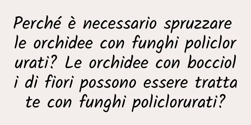 Perché è necessario spruzzare le orchidee con funghi policlorurati? Le orchidee con boccioli di fiori possono essere trattate con funghi policlorurati?