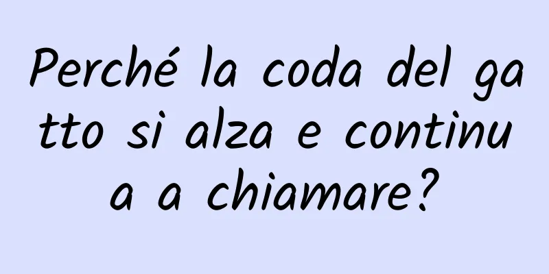 Perché la coda del gatto si alza e continua a chiamare?