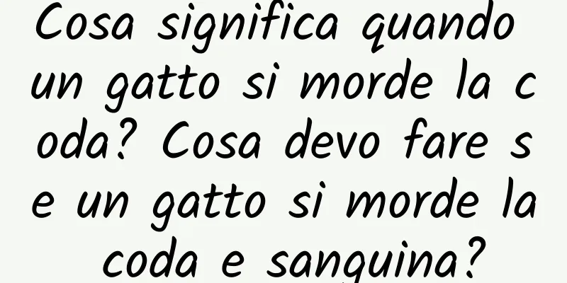 Cosa significa quando un gatto si morde la coda? Cosa devo fare se un gatto si morde la coda e sanguina?