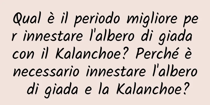 Qual è il periodo migliore per innestare l'albero di giada con il Kalanchoe? Perché è necessario innestare l'albero di giada e la Kalanchoe?