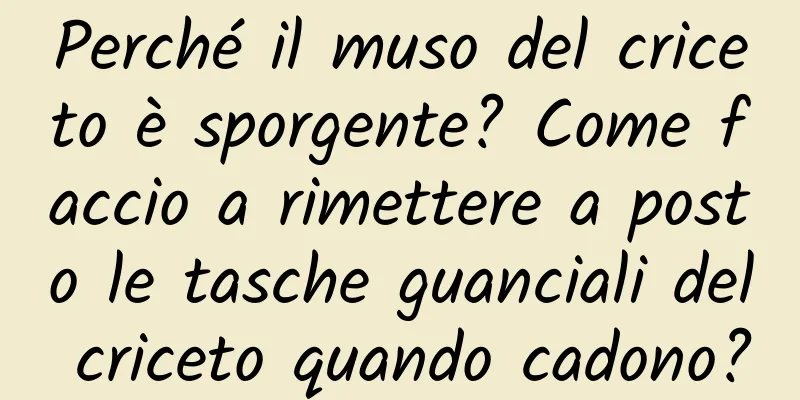 Perché il muso del criceto è sporgente? Come faccio a rimettere a posto le tasche guanciali del criceto quando cadono?