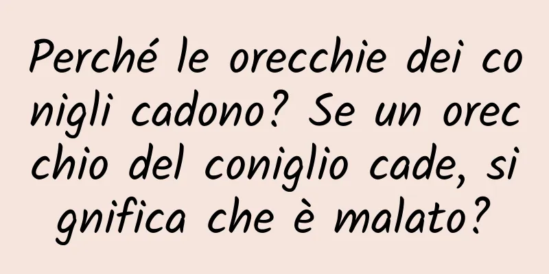 Perché le orecchie dei conigli cadono? Se un orecchio del coniglio cade, significa che è malato?
