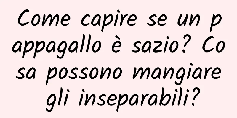 Come capire se un pappagallo è sazio? Cosa possono mangiare gli inseparabili?