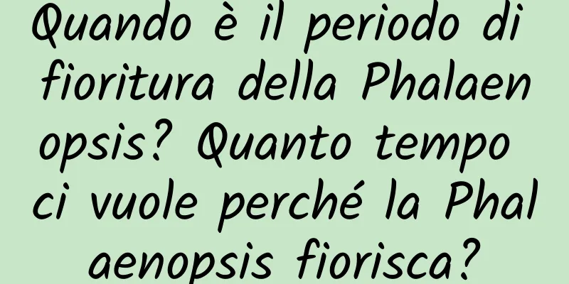 Quando è il periodo di fioritura della Phalaenopsis? Quanto tempo ci vuole perché la Phalaenopsis fiorisca?