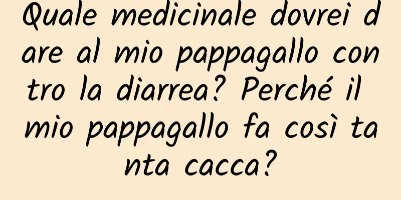 Quale medicinale dovrei dare al mio pappagallo contro la diarrea? Perché il mio pappagallo fa così tanta cacca?