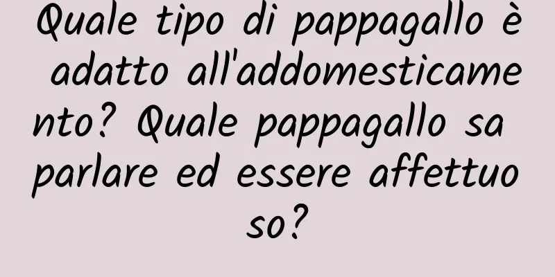 Quale tipo di pappagallo è adatto all'addomesticamento? Quale pappagallo sa parlare ed essere affettuoso?