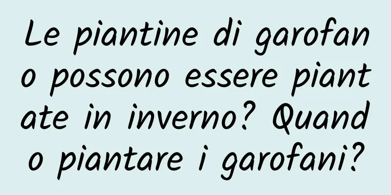 Le piantine di garofano possono essere piantate in inverno? Quando piantare i garofani?
