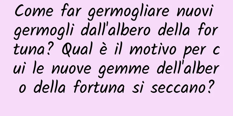 Come far germogliare nuovi germogli dall'albero della fortuna? Qual è il motivo per cui le nuove gemme dell'albero della fortuna si seccano?