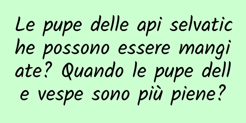 Le pupe delle api selvatiche possono essere mangiate? Quando le pupe delle vespe sono più piene?