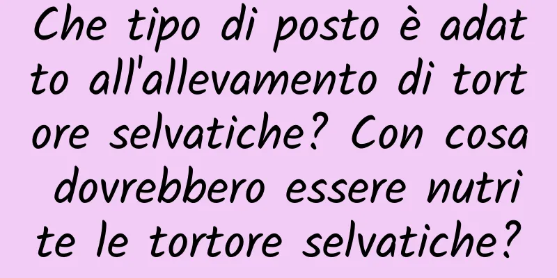 Che tipo di posto è adatto all'allevamento di tortore selvatiche? Con cosa dovrebbero essere nutrite le tortore selvatiche?