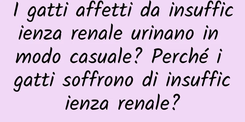 I gatti affetti da insufficienza renale urinano in modo casuale? Perché i gatti soffrono di insufficienza renale?
