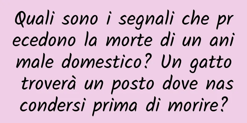 Quali sono i segnali che precedono la morte di un animale domestico? Un gatto troverà un posto dove nascondersi prima di morire?
