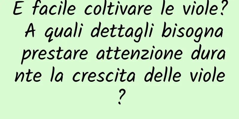 È facile coltivare le viole? A quali dettagli bisogna prestare attenzione durante la crescita delle viole?