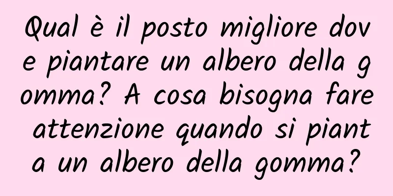 Qual è il posto migliore dove piantare un albero della gomma? A cosa bisogna fare attenzione quando si pianta un albero della gomma?