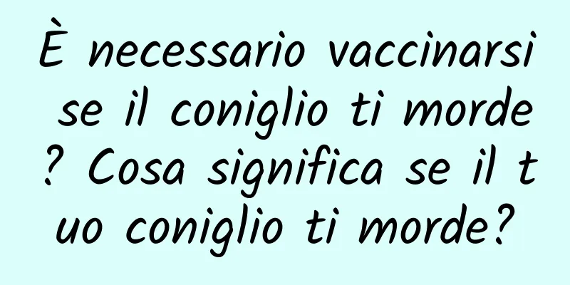 È necessario vaccinarsi se il coniglio ti morde? Cosa significa se il tuo coniglio ti morde?
