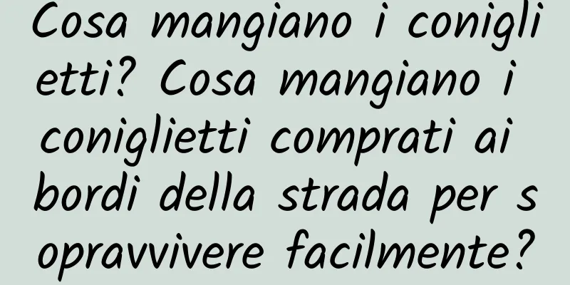 Cosa mangiano i coniglietti? Cosa mangiano i coniglietti comprati ai bordi della strada per sopravvivere facilmente?