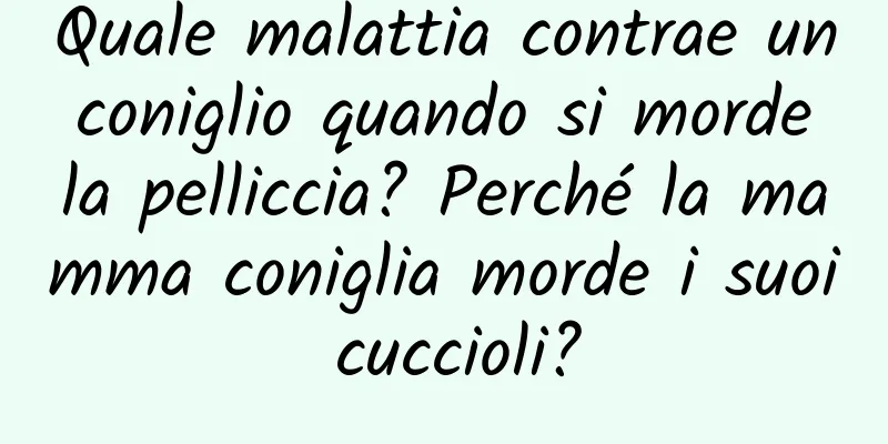 Quale malattia contrae un coniglio quando si morde la pelliccia? Perché la mamma coniglia morde i suoi cuccioli?