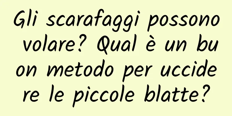 Gli scarafaggi possono volare? Qual è un buon metodo per uccidere le piccole blatte?