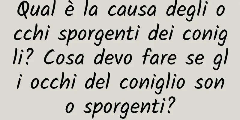 Qual è la causa degli occhi sporgenti dei conigli? Cosa devo fare se gli occhi del coniglio sono sporgenti?