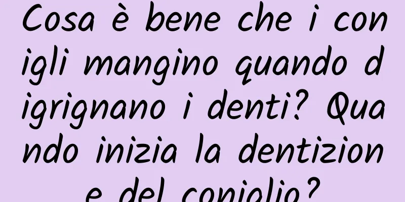 Cosa è bene che i conigli mangino quando digrignano i denti? Quando inizia la dentizione del coniglio?