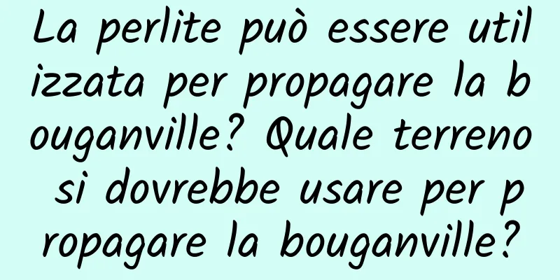 La perlite può essere utilizzata per propagare la bouganville? Quale terreno si dovrebbe usare per propagare la bouganville?