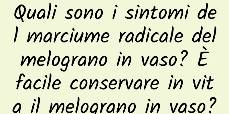 Quali sono i sintomi del marciume radicale del melograno in vaso? È facile conservare in vita il melograno in vaso?