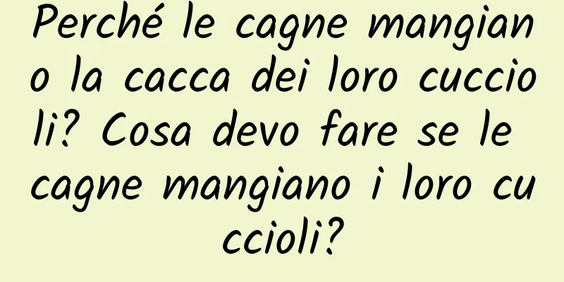 Perché le cagne mangiano la cacca dei loro cuccioli? Cosa devo fare se le cagne mangiano i loro cuccioli?