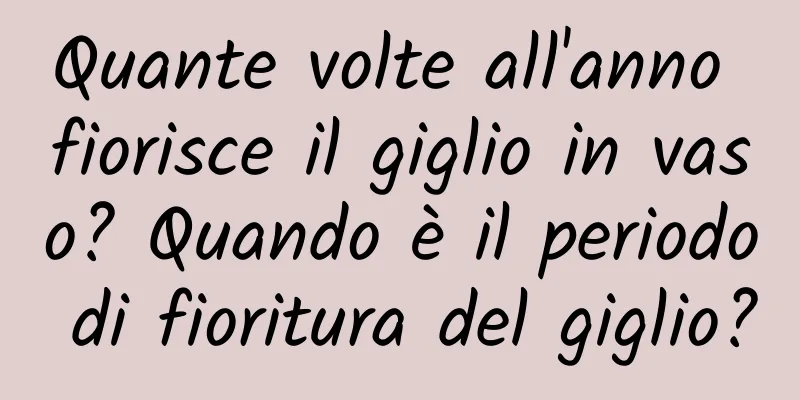 Quante volte all'anno fiorisce il giglio in vaso? Quando è il periodo di fioritura del giglio?