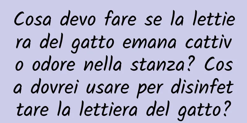 Cosa devo fare se la lettiera del gatto emana cattivo odore nella stanza? Cosa dovrei usare per disinfettare la lettiera del gatto?
