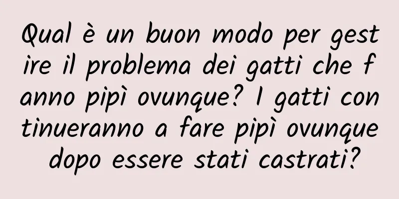 Qual è un buon modo per gestire il problema dei gatti che fanno pipì ovunque? I gatti continueranno a fare pipì ovunque dopo essere stati castrati?