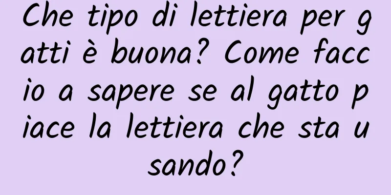 Che tipo di lettiera per gatti è buona? Come faccio a sapere se al gatto piace la lettiera che sta usando?