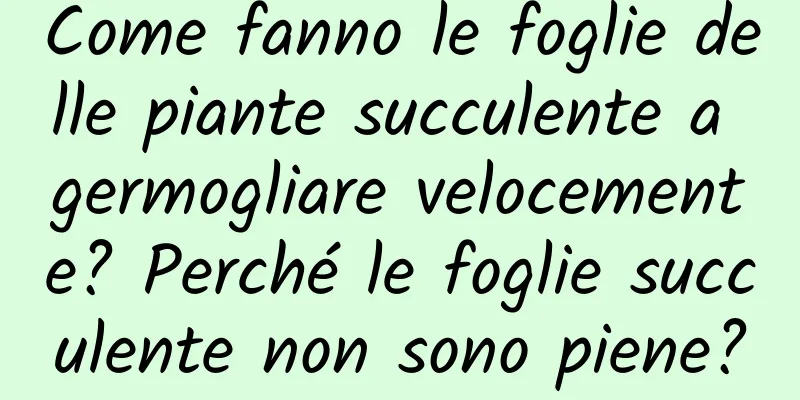 Come fanno le foglie delle piante succulente a germogliare velocemente? Perché le foglie succulente non sono piene?
