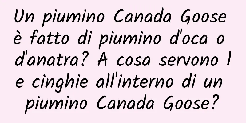 Un piumino Canada Goose è fatto di piumino d'oca o d'anatra? A cosa servono le cinghie all'interno di un piumino Canada Goose?