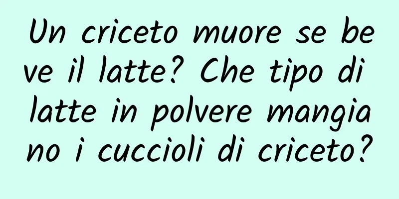 Un criceto muore se beve il latte? Che tipo di latte in polvere mangiano i cuccioli di criceto?