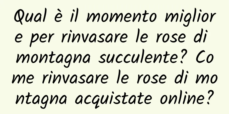Qual è il momento migliore per rinvasare le rose di montagna succulente? Come rinvasare le rose di montagna acquistate online?