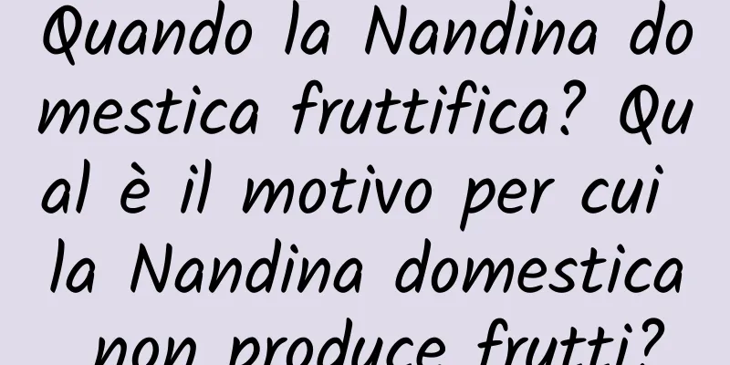 Quando la Nandina domestica fruttifica? Qual è il motivo per cui la Nandina domestica non produce frutti?