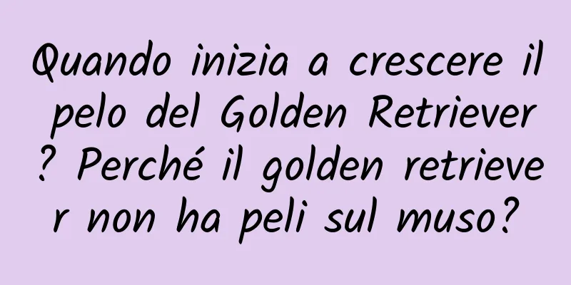 Quando inizia a crescere il pelo del Golden Retriever? Perché il golden retriever non ha peli sul muso?
