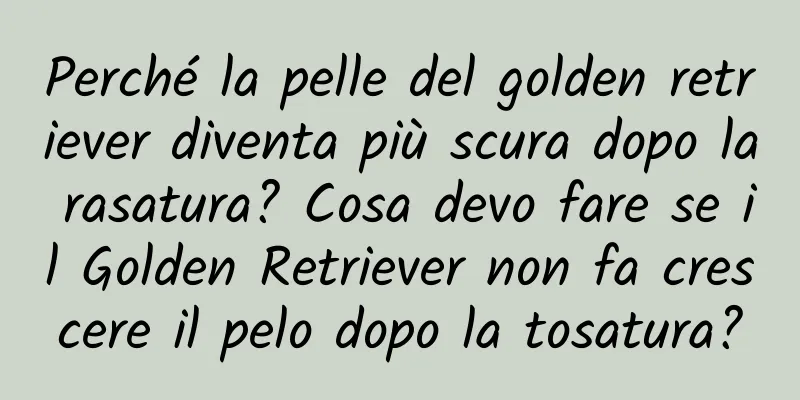 Perché la pelle del golden retriever diventa più scura dopo la rasatura? Cosa devo fare se il Golden Retriever non fa crescere il pelo dopo la tosatura?
