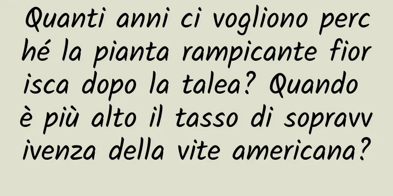 Quanti anni ci vogliono perché la pianta rampicante fiorisca dopo la talea? Quando è più alto il tasso di sopravvivenza della vite americana?