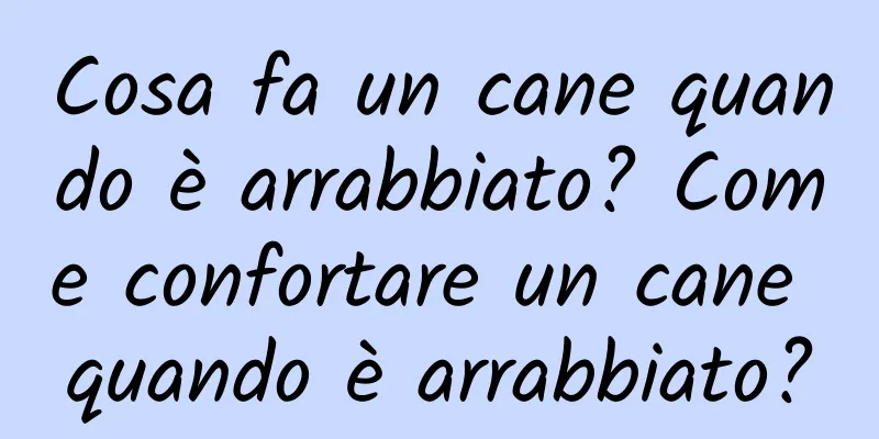 Cosa fa un cane quando è arrabbiato? Come confortare un cane quando è arrabbiato?