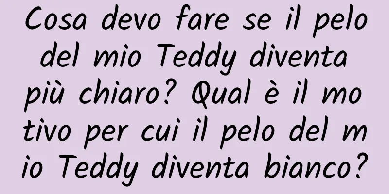 Cosa devo fare se il pelo del mio Teddy diventa più chiaro? Qual è il motivo per cui il pelo del mio Teddy diventa bianco?