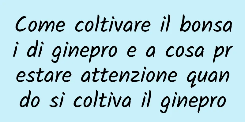 Come coltivare il bonsai di ginepro e a cosa prestare attenzione quando si coltiva il ginepro