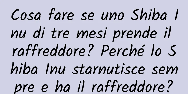 Cosa fare se uno Shiba Inu di tre mesi prende il raffreddore? Perché lo Shiba Inu starnutisce sempre e ha il raffreddore?