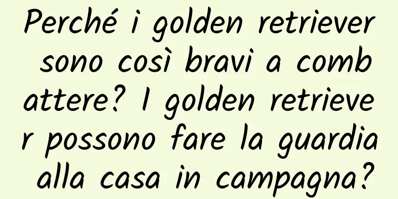 Perché i golden retriever sono così bravi a combattere? I golden retriever possono fare la guardia alla casa in campagna?