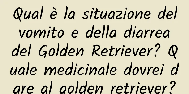 Qual è la situazione del vomito e della diarrea del Golden Retriever? Quale medicinale dovrei dare al golden retriever?