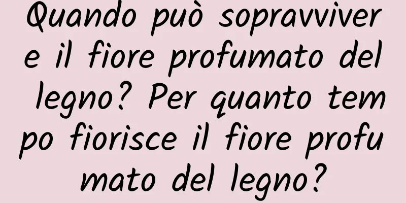 Quando può sopravvivere il fiore profumato del legno? Per quanto tempo fiorisce il fiore profumato del legno?