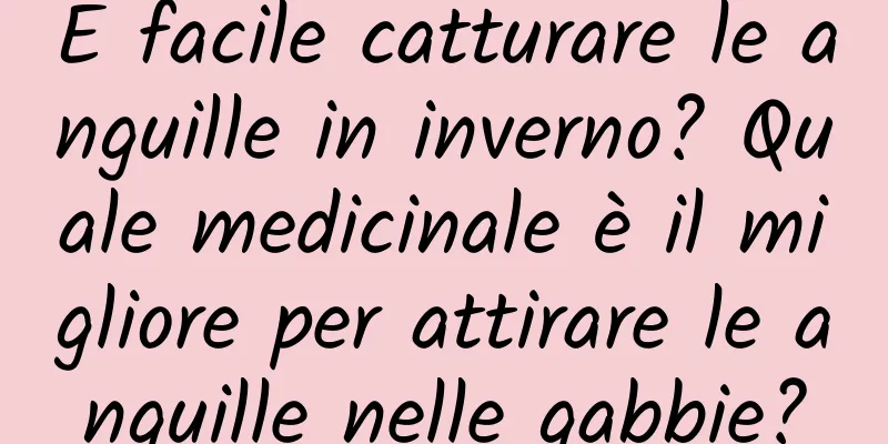 È facile catturare le anguille in inverno? Quale medicinale è il migliore per attirare le anguille nelle gabbie?